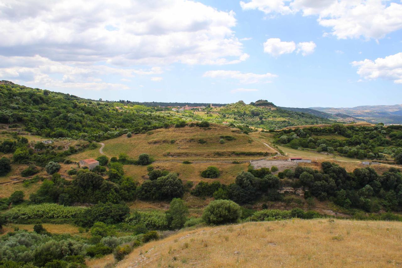 Bed and Breakfast Antas Padria Esterno foto